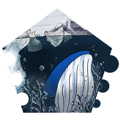 a blue whale is making bubbles underwater.